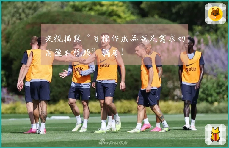 央视揭露“可操作成品满足需求的高盈利视频”骗局！